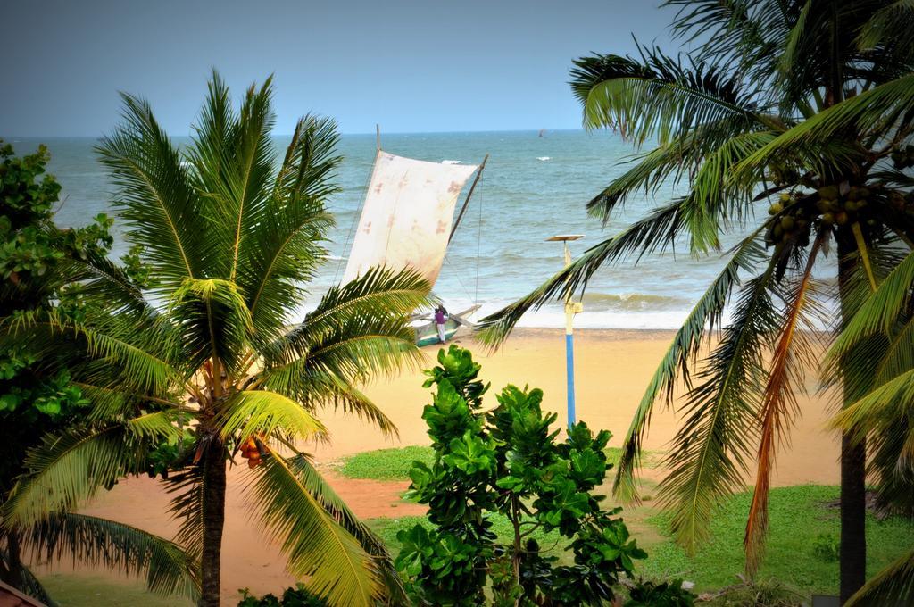 Blumarine Guest House Negombo Eksteriør bilde